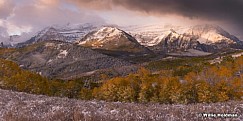 Timpanogos Aspen Snowy 100413