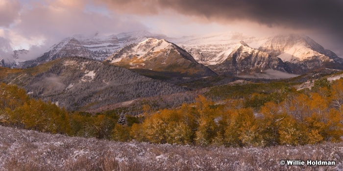 Timpanogos Aspen Snowy 100413