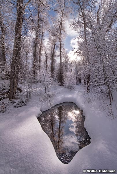 Lake Creek Stream 012720 3050