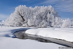 Hoarfrosttrees022009 12030