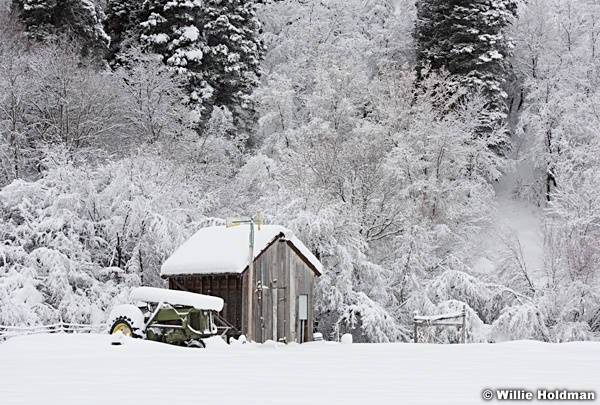 Tractor Shack Snow 010517 8959 4