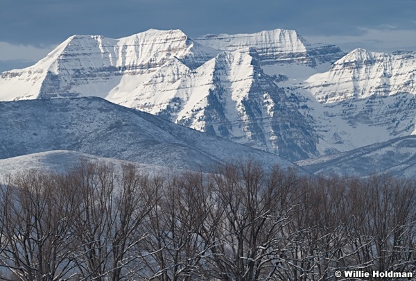 Massive Timpanogos Winter 121022 9195 2