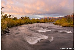 Autumn Yellows Provo River 101116 3356a