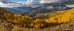 Timp cascade autumn splender 100216 26