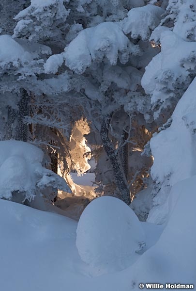 Fresh Snow Warm Window 111220 1377 5