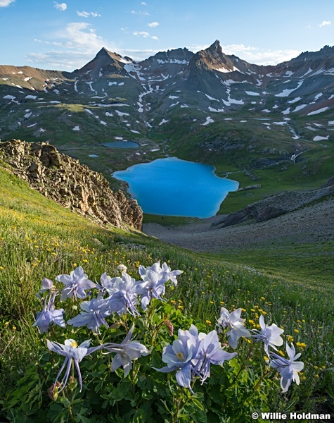 Blue columbine Ice Lake working070924 7484