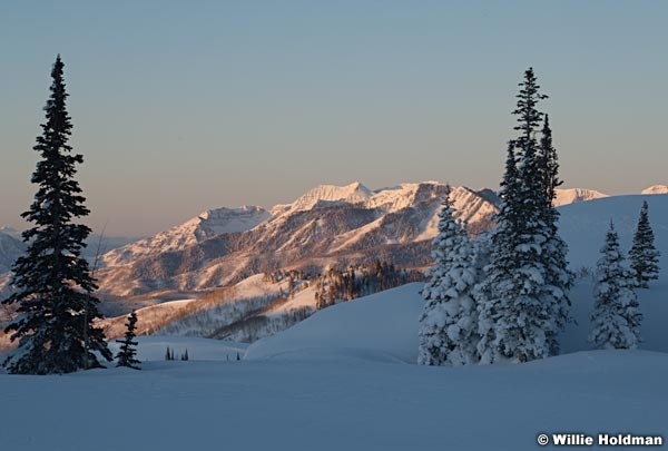 timpdeervalley040710040710 1790