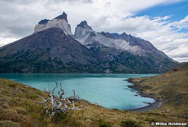 Torres Del Paine 031616 7951