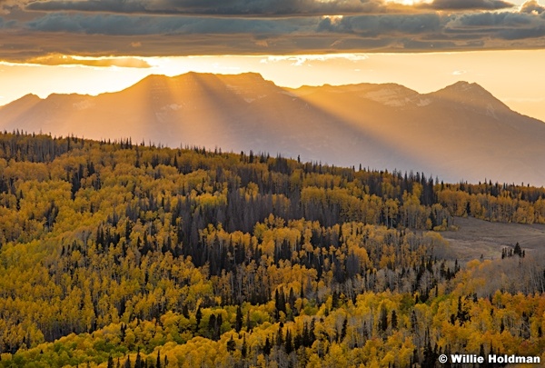 Timpanogos sunrays Aspens 092916 8421 8421