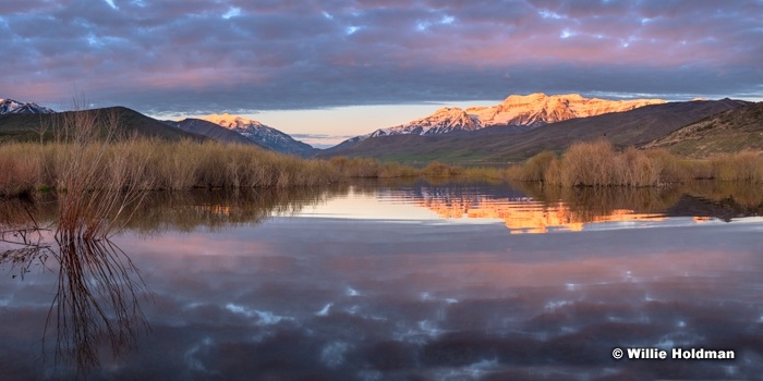 Timpanogos Deer Creek Reflection 040216 20x40