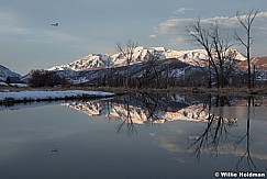 Timpanogos Marsh 030613 388