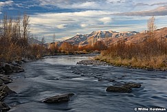 Provo River Rusts 110117 6656