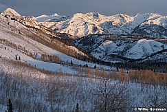 Wasatchrangehorseflat020210