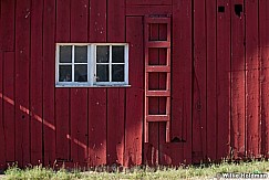 Red Barn 062912 43