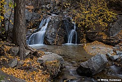 Waterfall Leaves 102520 9248 4