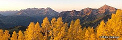 timpanogosgoldenaspens093009