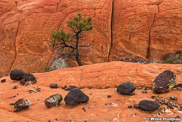 Lava boulders and red rock, Capital Reef Area, Southern Utah