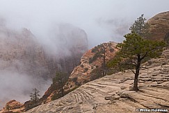 East Zion National Park 1223 0532