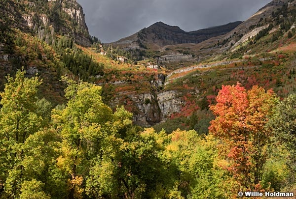 Timpanogos Autuymn Stewart 091416 2839 3