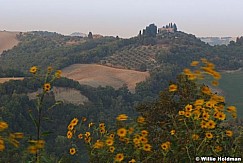 Tuscany092509 9482728