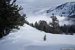 Powder Day Skin Track 013020 3442