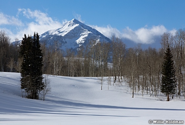 Cascade Winter Meadow022312 159