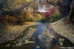 Calf Creek Upper Color 103124