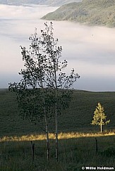 crestedbutte080807 961