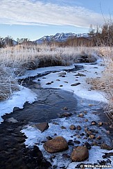 Heber valley ice marsh 011412 192