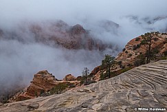 East Zion National Park 12323 0539