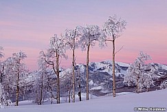 snowshoetracksclouds122410 78