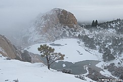 Lone Ponderosa Winter Teasdale Plateau 112423 2