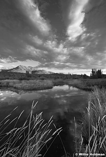 Pond Clouds Heber BW 083115 8313