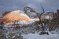 Fresh Snow Zion 022723 4142