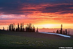 Lake Creek Sunset Spring Lilies 061724 5682