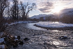 Provo River Winter Sun 011620 2560