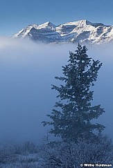 Timpanogos Clouds Pines 102612 119