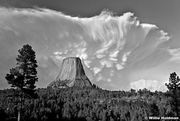 DevilstowertreeBW071409 2293