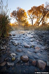 Provo River Cottonwood 101512 206