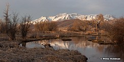 Timpanogos Marsh 031313a