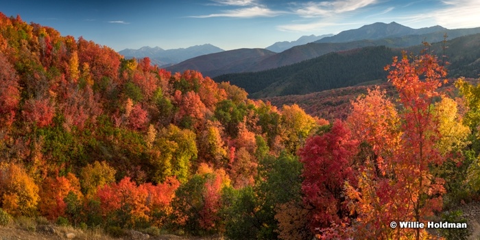 Wasatch Autumn Reds 091716