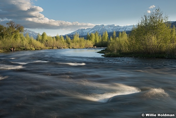 Provo River Spring Greens 051016 3856