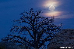 Full Moon Canyonlands 032613 27