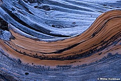 Frost Wood Grain 062614