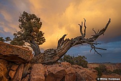 Passing Storm Capitol Reef 112523 7956