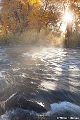 Provo River Cottonwood 101512 278