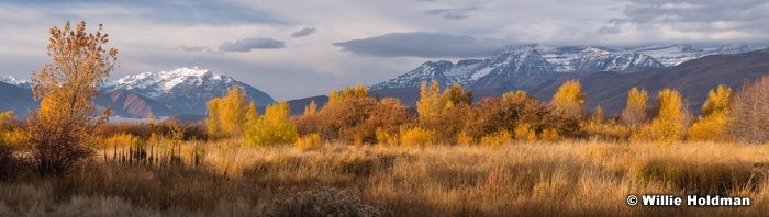 Cascade Timpanogos Yellows 102218 3418