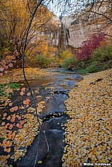 Upper Calf Creek 103124