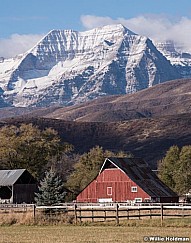 Timpanogos Red Barn Charleston 102219 01330127 5