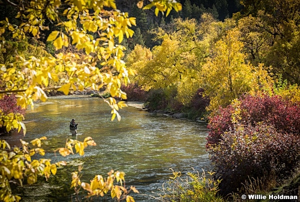 Fly Fishing Provo 101216 3772 4